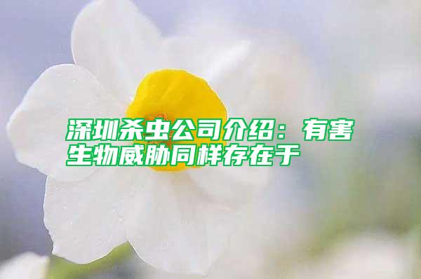 深圳殺蟲公司介紹:有害生物威脅同樣存在于