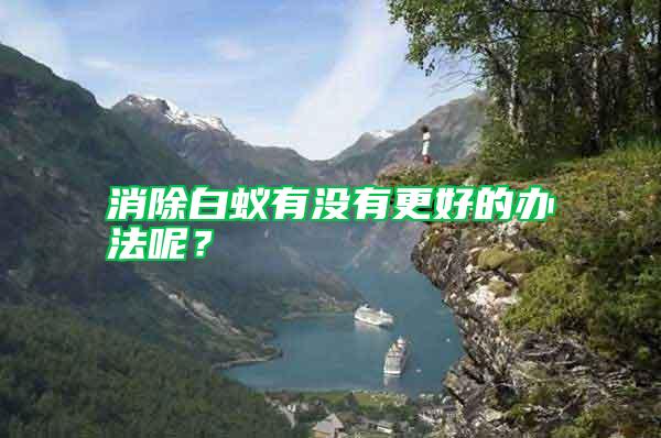 消除白蟻有沒有更好的辦法呢？
