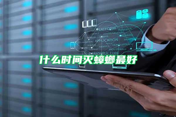 什么時(shí)間滅蟑螂最好