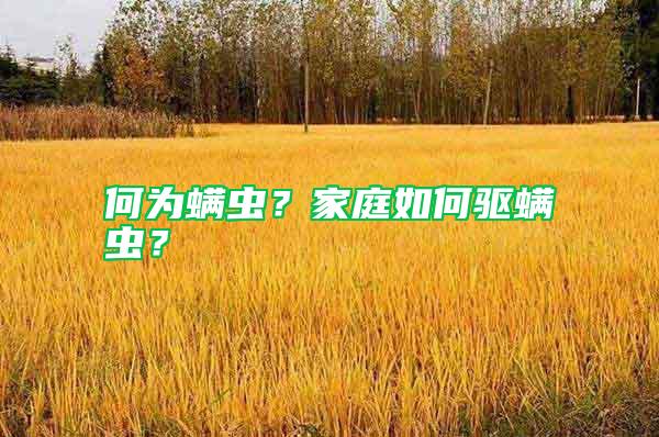 何為螨蟲?家庭如何驅螨蟲?