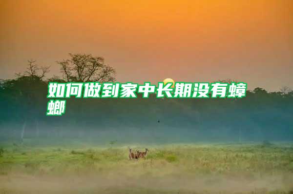 如何做到家中長(zhǎng)期沒有蟑螂