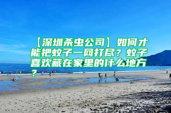 【深圳殺蟲公司】如何才能把蚊子一網(wǎng)打盡？蚊子喜歡藏在家里的什么地方？