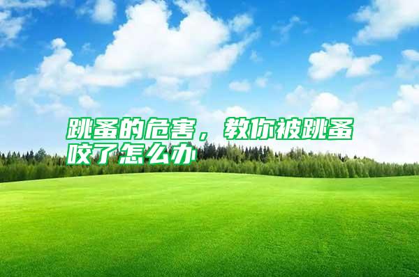 跳蚤的危害，教你被跳蚤咬了怎么辦