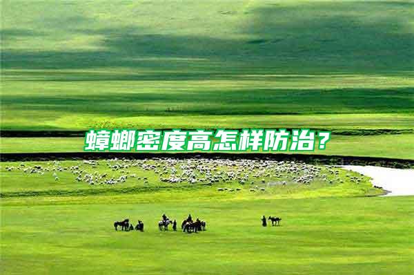 蟑螂密度高怎樣防治？