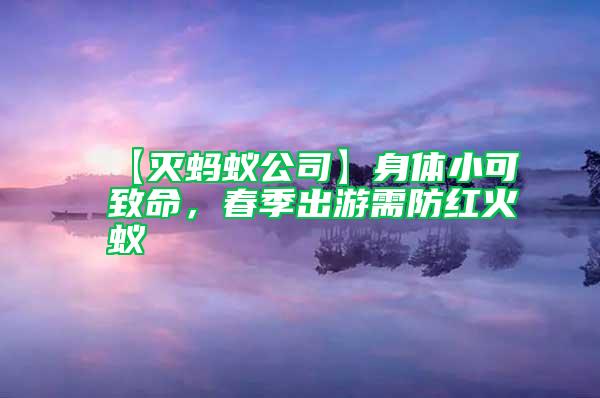 【滅螞蟻公司】身體小可致命，春季出游需防紅火蟻