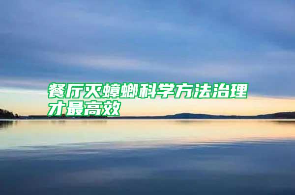 餐廳滅蟑螂科學(xué)方法治理才最高效