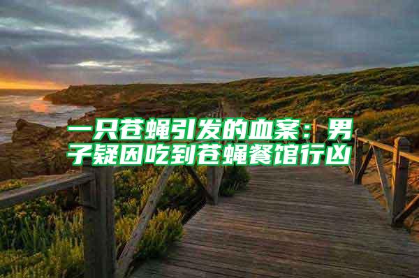 一只蒼蠅引發(fā)的血案:男子疑因吃到蒼蠅餐館行兇