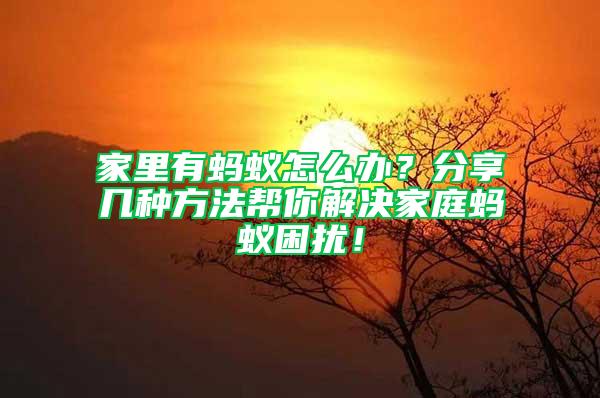 家里有螞蟻怎么辦?分享幾種方法幫你解決家庭螞蟻困擾!