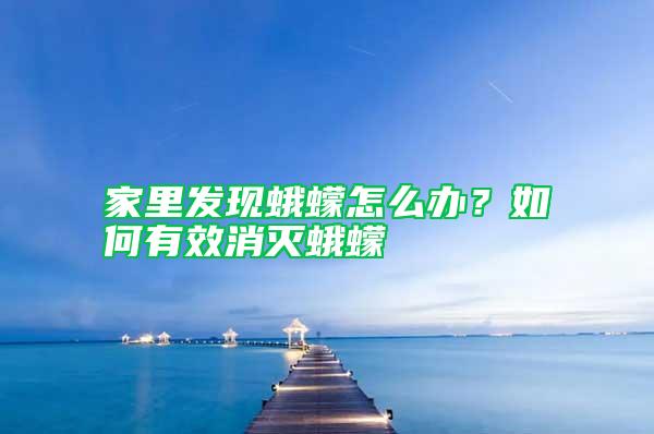 家里發現蛾蠓怎么辦?如何有效消滅蛾蠓