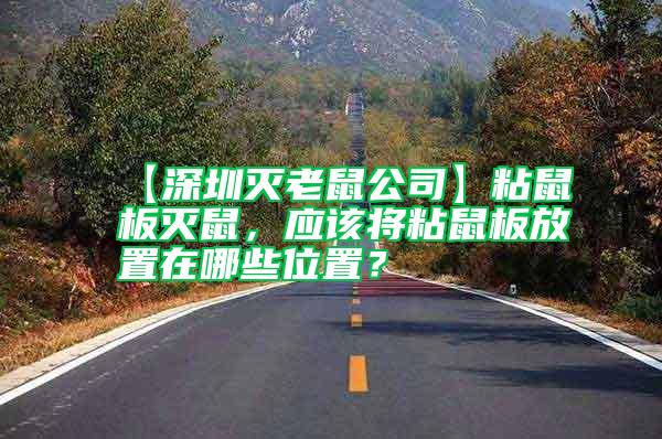 【深圳滅老鼠公司】粘鼠板滅鼠，應(yīng)該將粘鼠板放置在哪些位置？