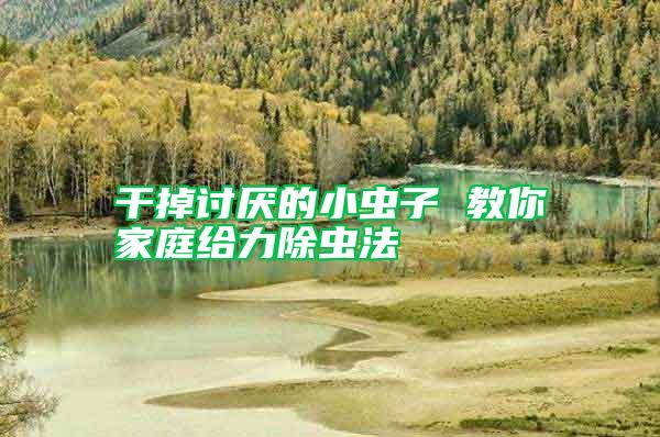 干掉討厭的小蟲子 教你家庭給力除蟲法