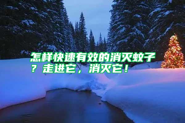 怎樣快速有效的消滅蚊子?走進它,消滅它!