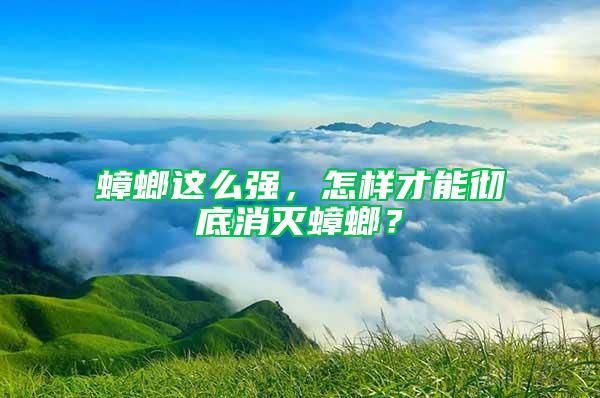 蟑螂這么強,怎樣才能徹底消滅蟑螂?