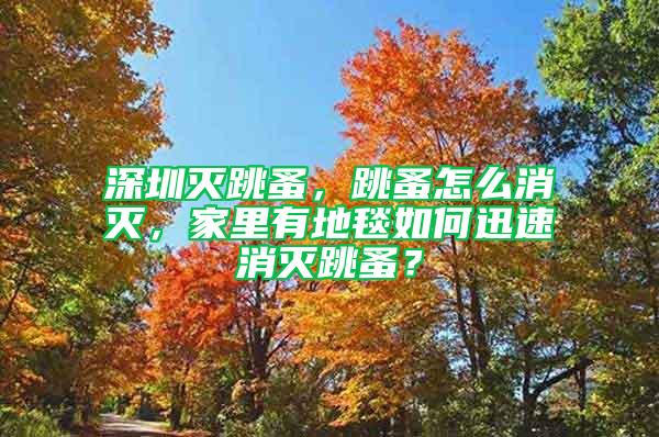 深圳滅跳蚤,跳蚤怎么消滅,家里有地毯如何迅速消滅跳蚤?