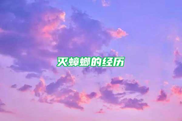 滅蟑螂的經歷