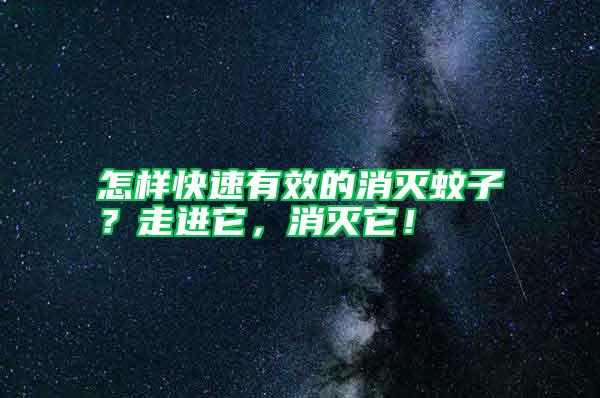 怎樣快速有效的消滅蚊子?走進它,消滅它!