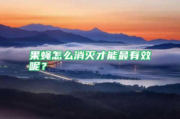 果蠅怎么消滅才能最有效呢？