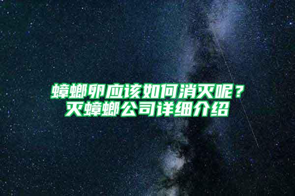 蟑螂卵應(yīng)該如何消滅呢?滅蟑螂公司詳細(xì)介紹