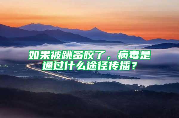 如果被跳蚤咬了,病毒是通過什么途徑傳播?