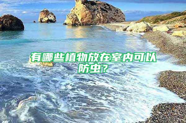 有哪些植物放在室內(nèi)可以防蟲?