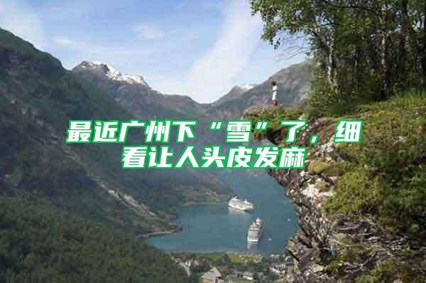 最近廣州下“雪”了,細看讓人頭皮發麻