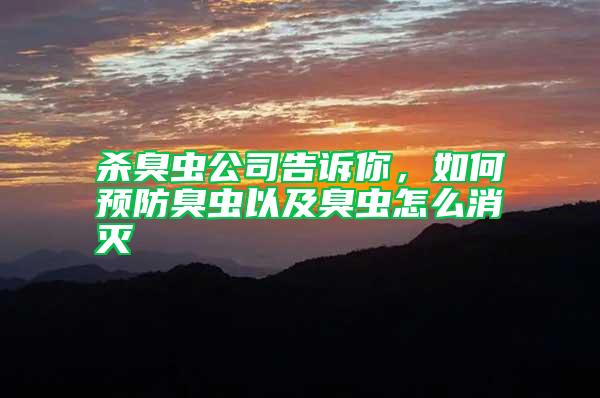 殺臭蟲公司告訴你,如何預防臭蟲以及臭蟲怎么消滅