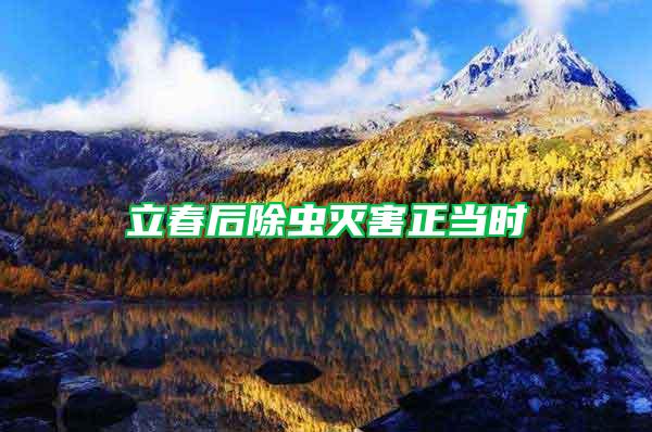 立春后除蟲滅害正當(dāng)時(shí)