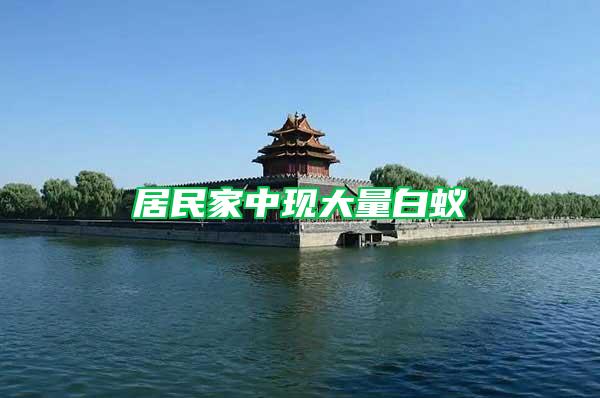 居民家中現大量白蟻