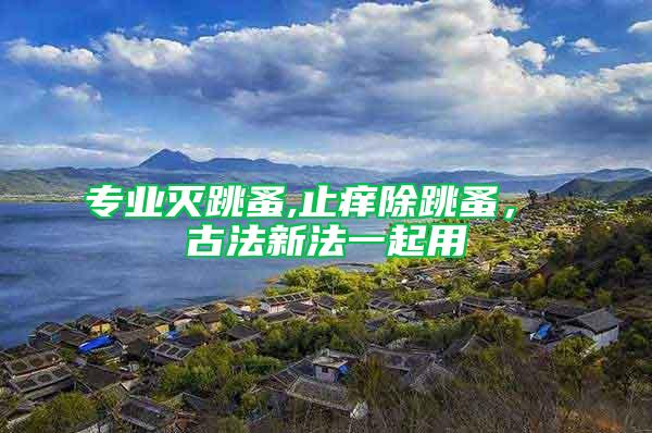 專業滅跳蚤,止癢除跳蚤, 古法新法一起用