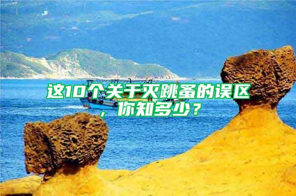這10個關于滅跳蚤的誤區,你知多少?