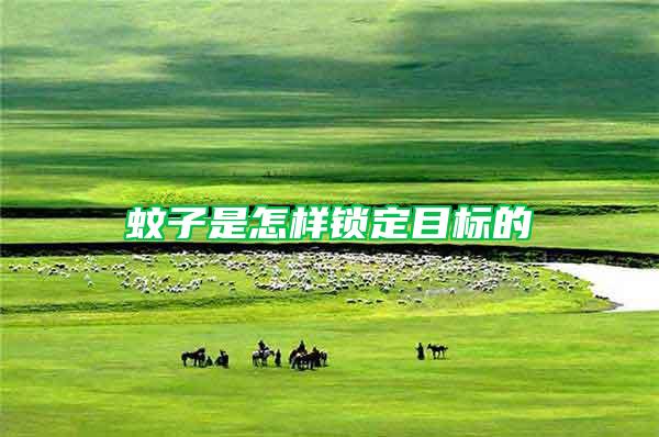 蚊子是怎樣鎖定目標的