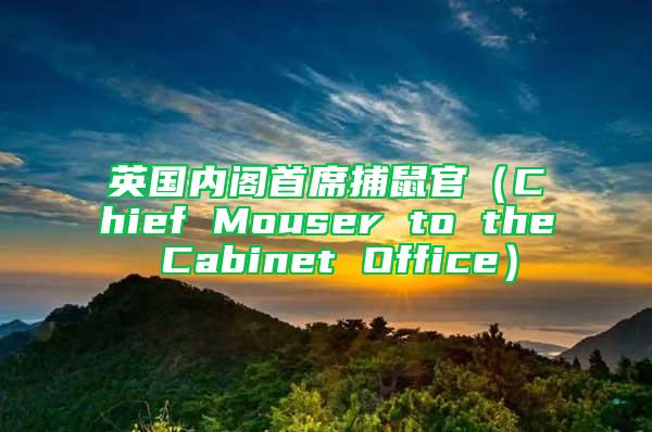 英國(guó)內(nèi)閣首席捕鼠官(Chief Mouser to the Cabinet Office)