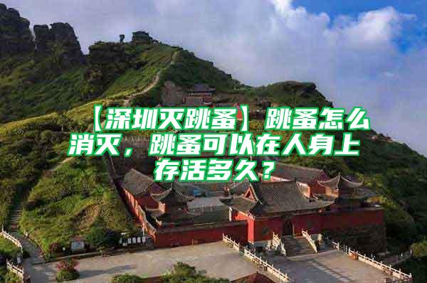 【深圳滅跳蚤】跳蚤怎么消滅，跳蚤可以在人身上存活多久？