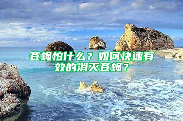 蒼蠅怕什么?如何快速有效的消滅蒼蠅?