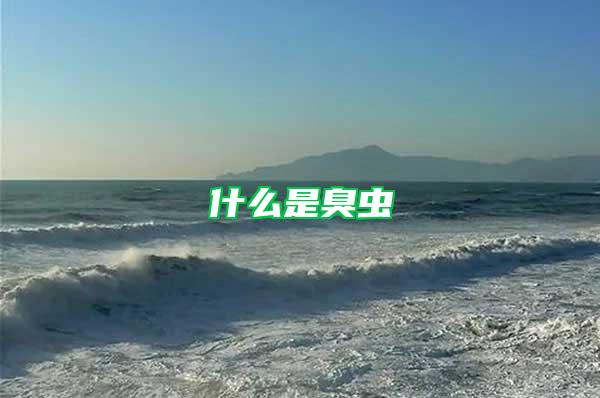 什么是臭蟲(chóng)