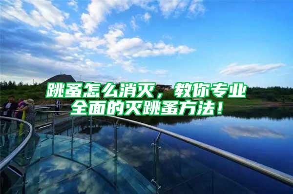 跳蚤怎么消滅，教你專業全面的滅跳蚤方法！