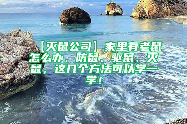 【滅鼠公司】家里有老鼠怎么辦,防鼠、驅鼠、滅鼠,這幾個方法可以學一學!