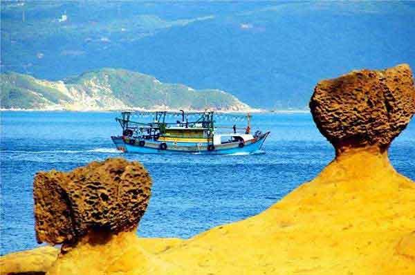 養豬場的滅鼠方法及危害