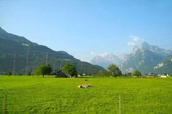 我國(guó)主要的危害蟻種及擴(kuò)散方式