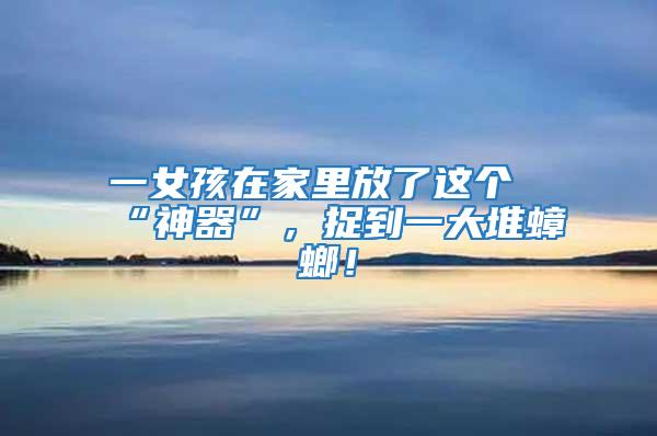 一女孩在家里放了這個“神器”，捉到一大堆蟑螂！