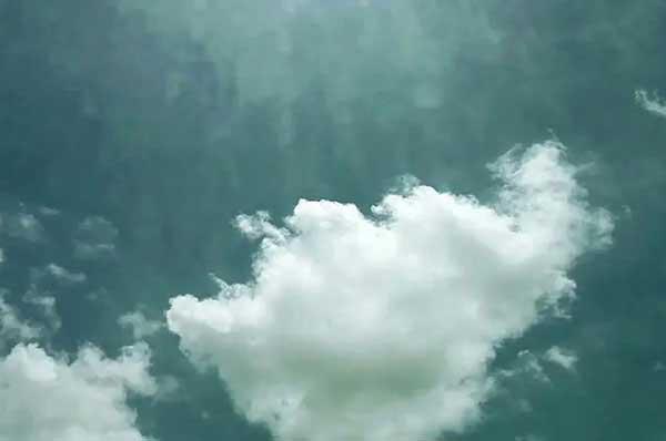 如何選擇殺蟲公司給您支招