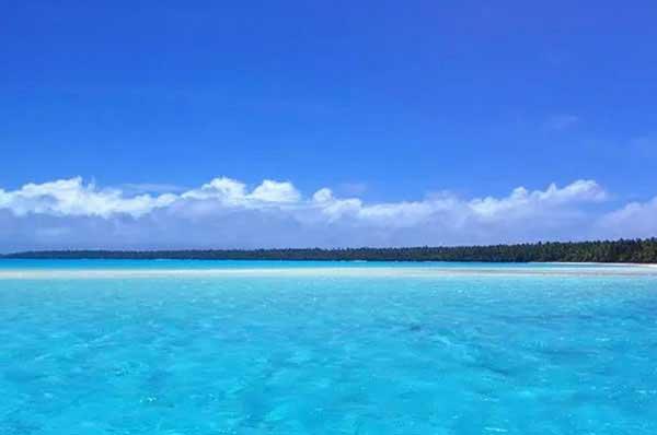 消滅蒼蠅最好方法，除蟲公司幫你