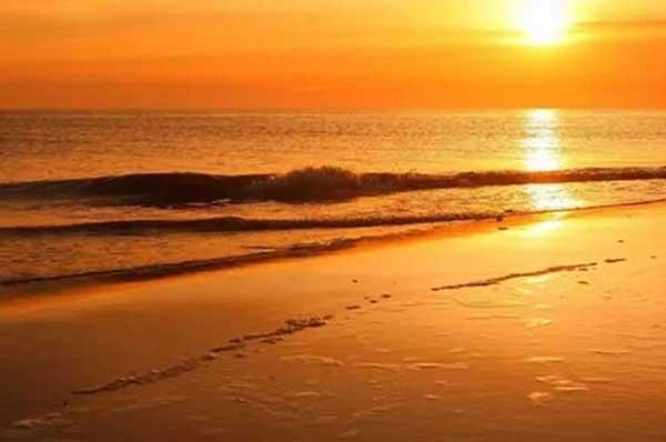 白蟻防治：白蟻怎么會生在家里？