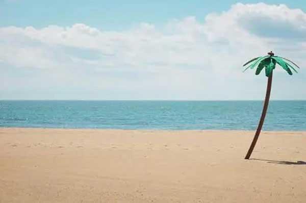 【深圳除蟲公司】人們對滅蟑螂認識的誤區