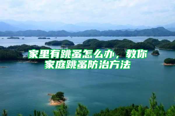 家里有跳蚤怎么辦，教你家庭跳蚤防治方法