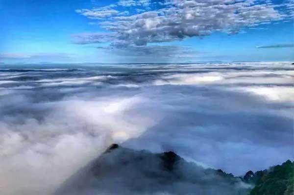 食品工廠的蟑螂應該如何殺