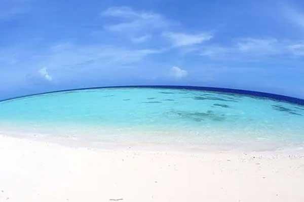 立夏過后，怎么預(yù)防蚊蟲叮咬？