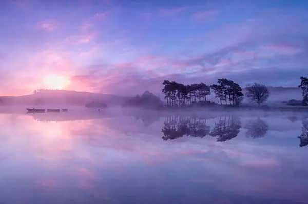 城區綠化慘遭白蟻侵蝕 市園林部門集中開展全面防治