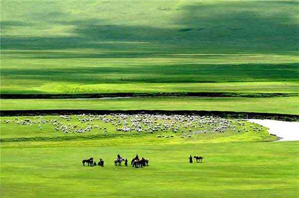 金陵滅鼠王專請害蟲客 固體飲料也能滅白蟻