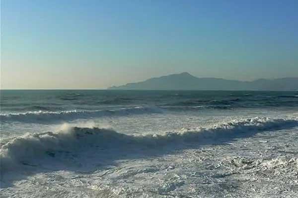 帶你了解一下滅螞蟻最有效的方法